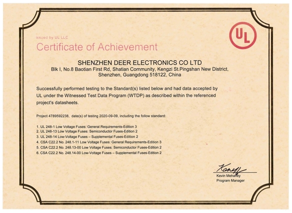 चीन Dissmann | Global Expert Fuse for EV | HEV | Photovoltaic | Battery | Energy Storage Solutions प्रमाणपत्र